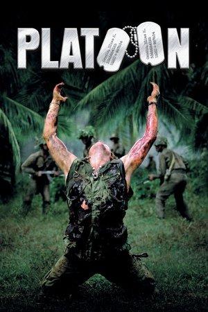 Platoon streaming