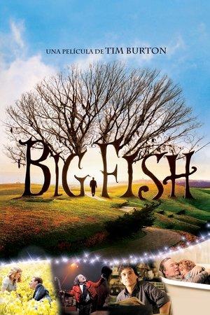 Big Fish streaming