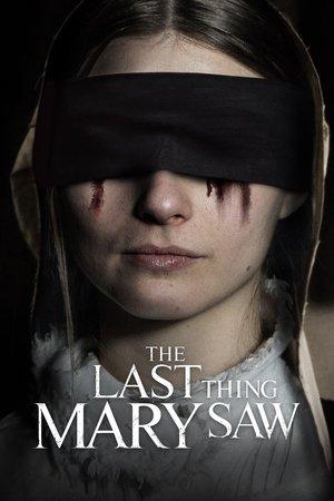The Last Thing Mary Saw streaming