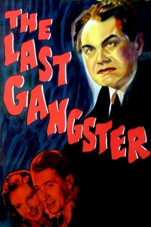 The Last Gangster streaming