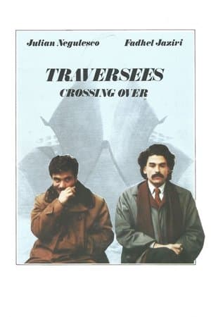 Crossing Over streaming