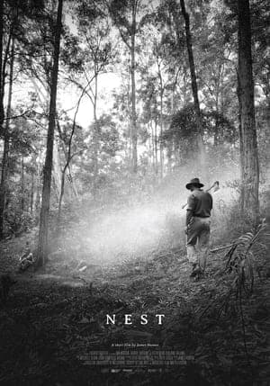Nest streaming