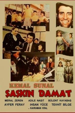 Şaşkın Damat streaming