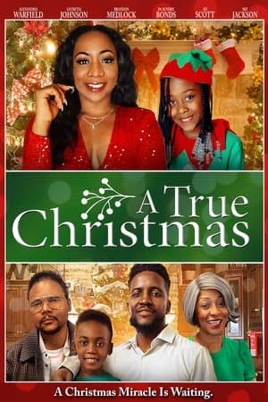 A True Christmas streaming