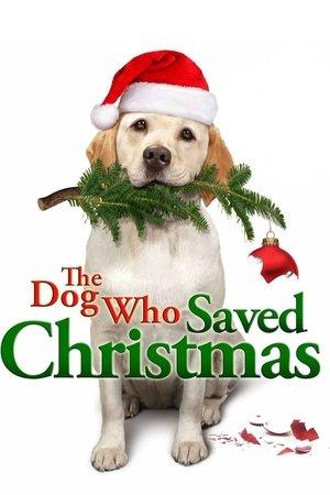 The Dog Who Saved Christmas streaming
