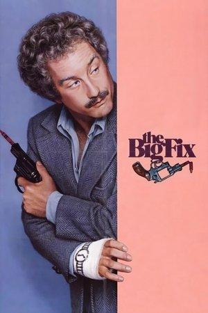 The Big Fix streaming