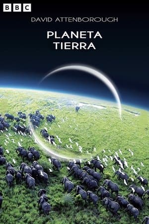 Planeta Tierra streaming
