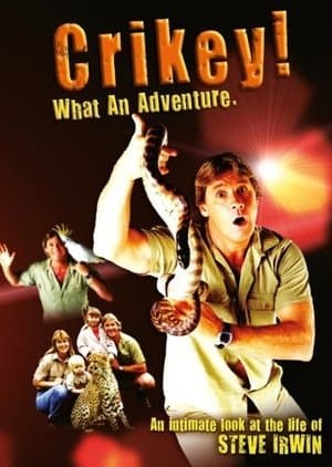 Crikey! What an Adventure streaming