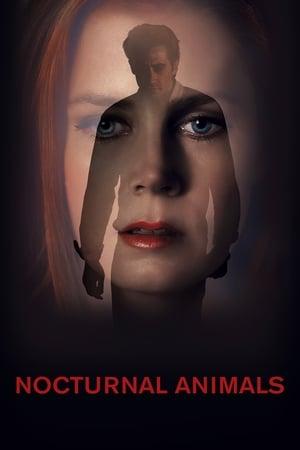 Nocturnal Animals streaming