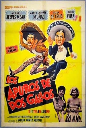 Los apuros de dos gallos streaming
