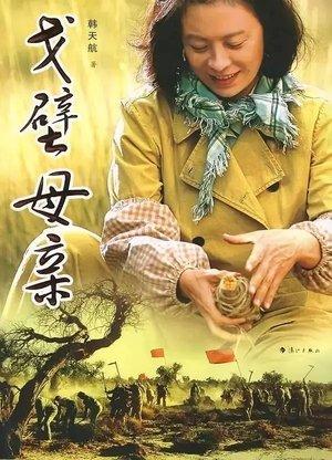 戈壁母亲 streaming