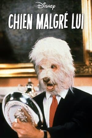 Chien malgré lui streaming