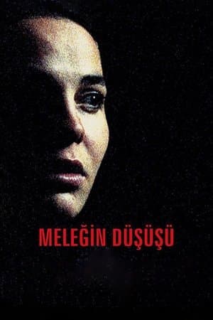 Angel's Fall streaming
