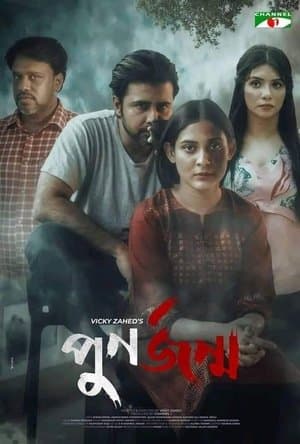 পুনর্জন্ম streaming
