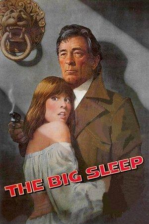 Le Grand Sommeil streaming