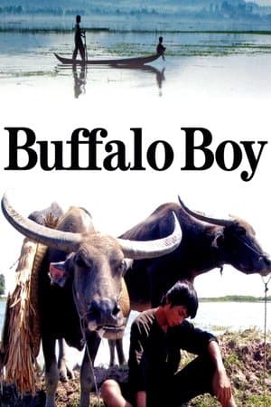 Buffalo Boy streaming
