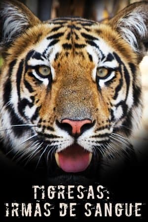 Tigress Blood streaming