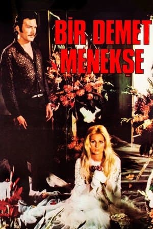 Bir Demet Menekşe streaming