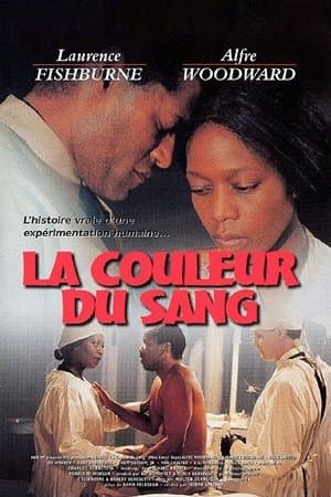 La Couleur du sang streaming