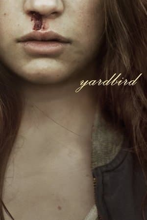 Yardbird streaming