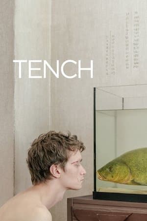 Tench streaming