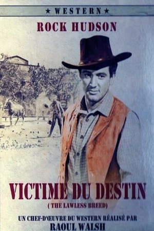 Victime du destin streaming