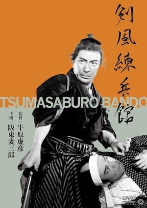 剣風練兵館 streaming