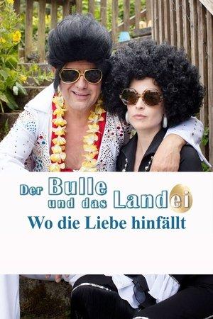 Der Bulle und das Landei - Wo die Liebe hinfällt streaming