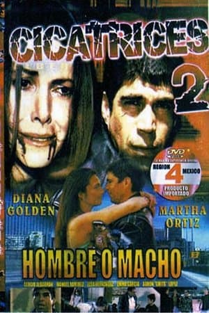 Cicatrices 2 streaming