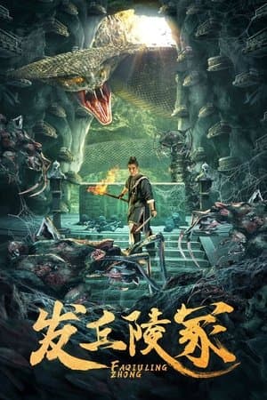 发丘陵冢 streaming