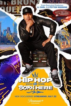 Hip Hop Was Born Here streaming