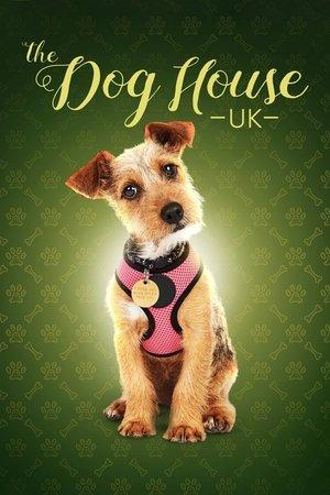 The Dog House streaming