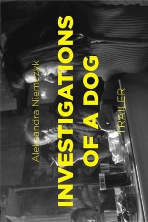 Investigations of a Dog streaming