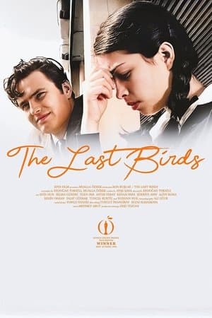 The Last Birds streaming