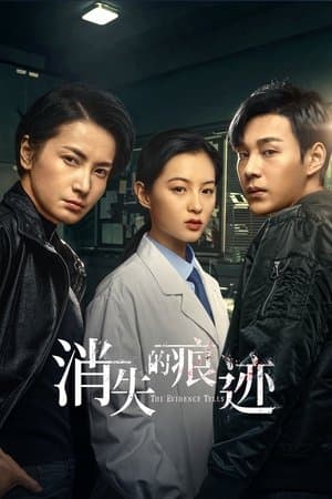 消失的痕迹 streaming