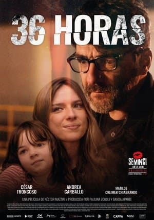 36 horas streaming