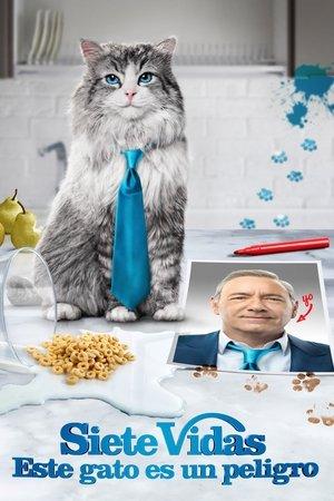 Siete vidas, este gato es un peligro streaming