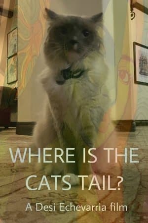 Where Is The Cat's Tail? streaming