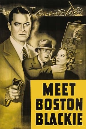 Meet Boston Blackie streaming