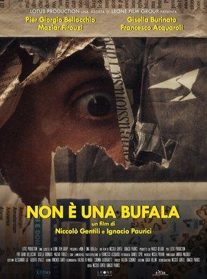Non è una bufala streaming