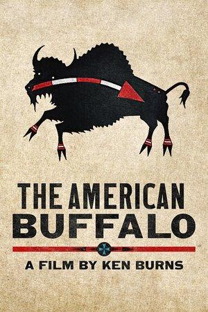 The American Buffalo streaming