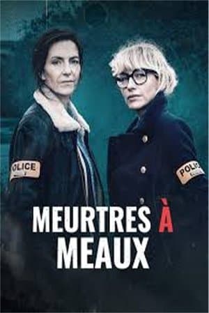 Meurtres à Meaux streaming