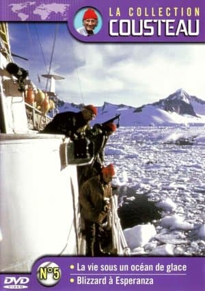 La collection Cousteau N°5 | La vie sous un océan de glace | Blizzard à Esperanza streaming