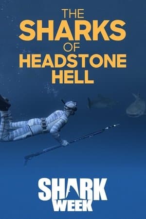 The Sharks Of Headstone Hell streaming