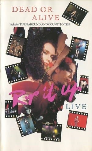 Dead or Alive: Rip it Up Live streaming