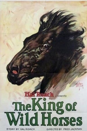 The King of the Wild Horses streaming
