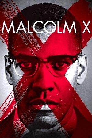 Malcolm X streaming