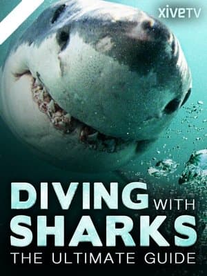 Diving with Sharks: The Ultimate Guide streaming