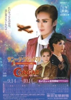 Saint-Exupéry -The Pilot Who Became "The Little Prince"- streaming