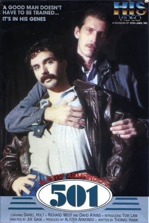501 streaming